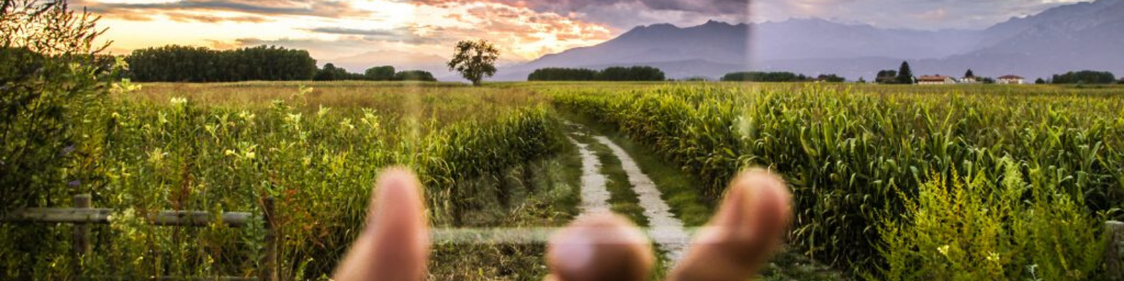 more than auction software; Hand holding up clear square over nature scene