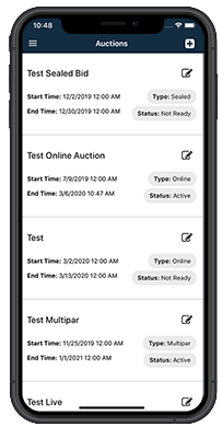 Internet Auction Software