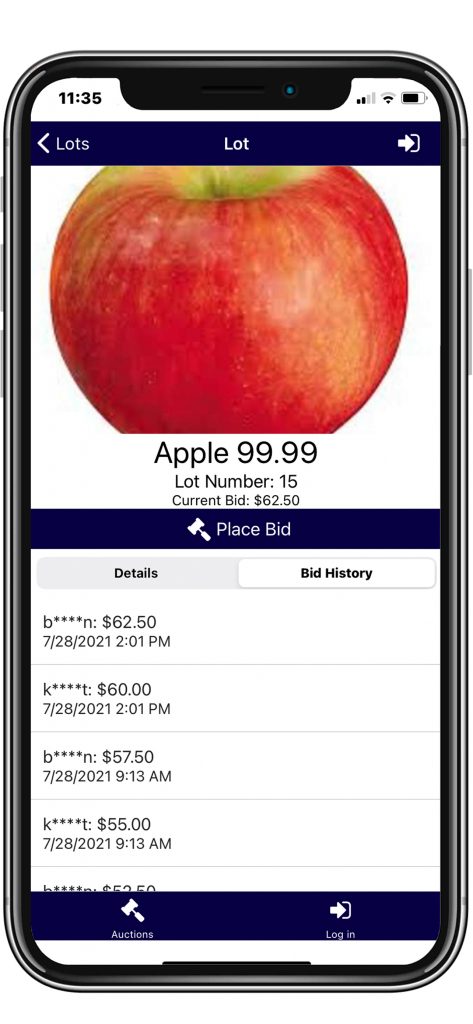 online bidding sites