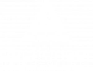 Auctioneer Software white text logo